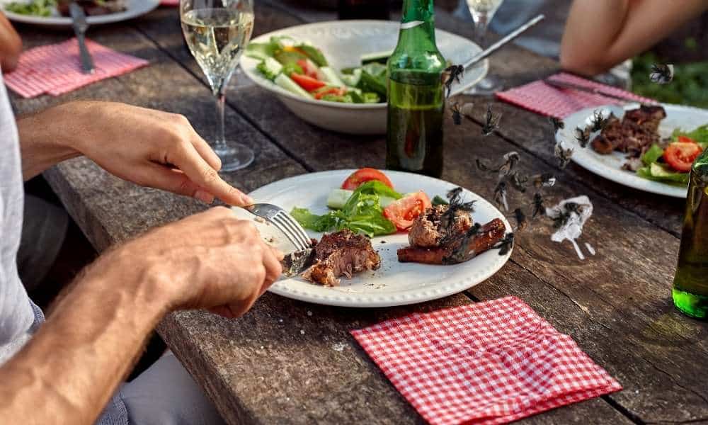 Flies Away from Outdoor Party