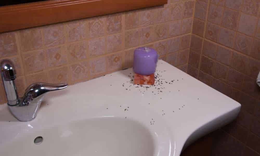 How to Get Rid of Ants in the Bathroom Tub?