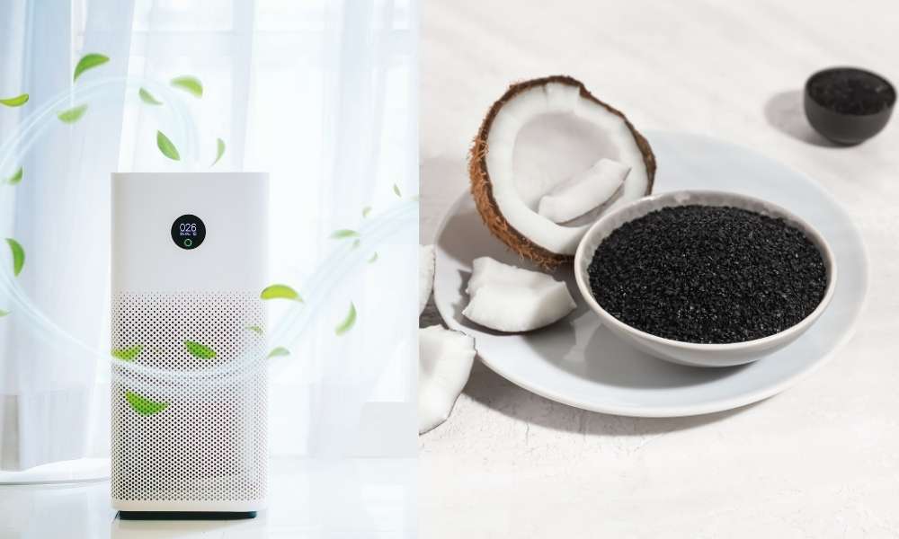 Purify the Air with Activated Charcoal