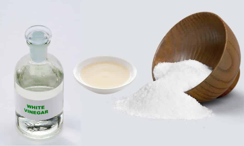 Salt & White Vinegar Paste