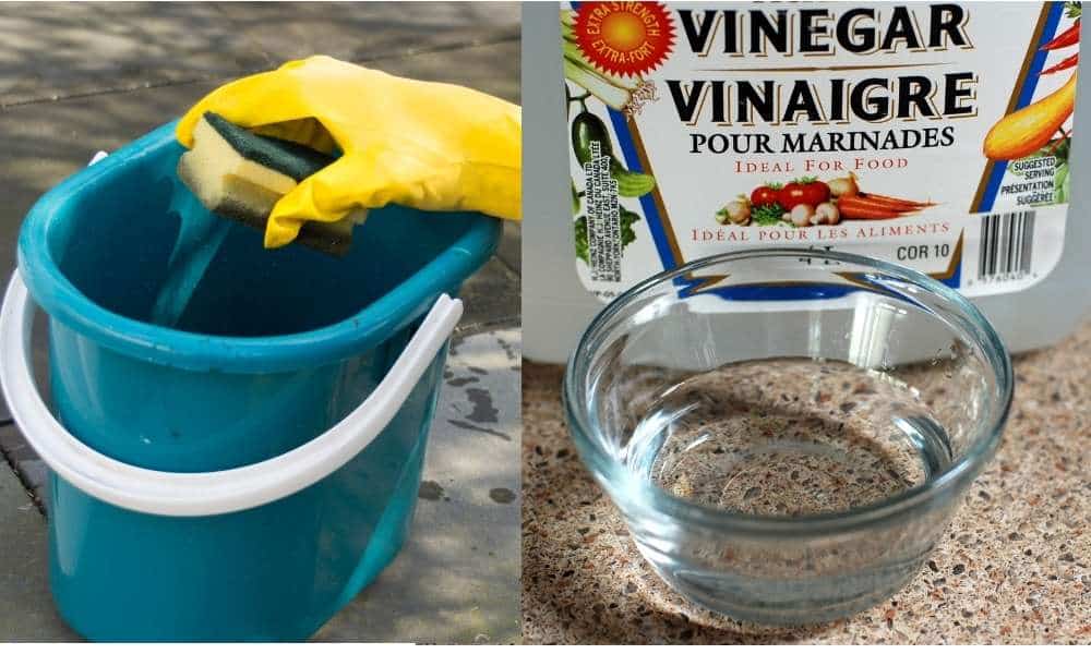 Wash tainted clean outdoor cushions vinegar