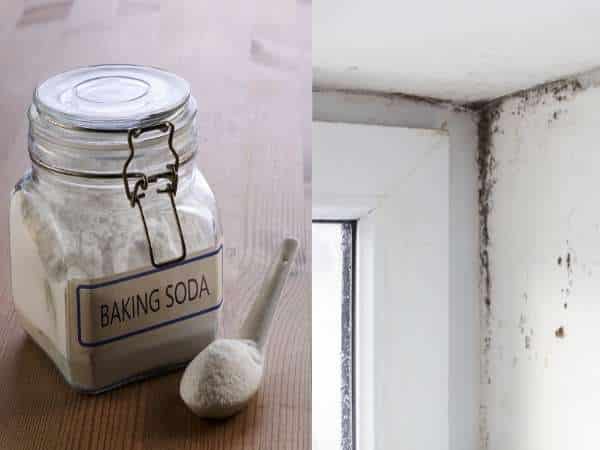 Baking Soda And Borax For Killing Mold