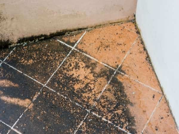 Causes and Symptoms Of Subfloor Damage