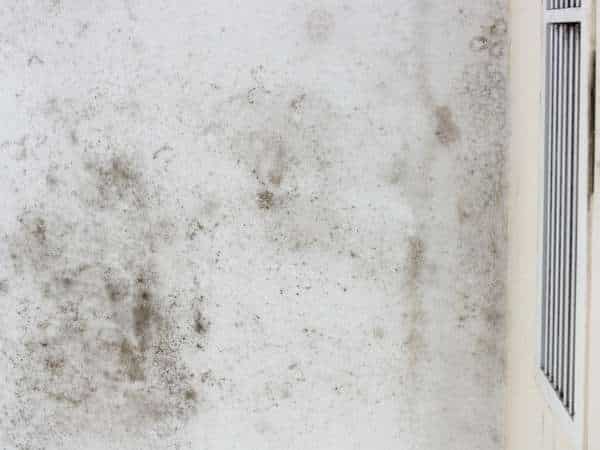 Controlling Mold On Your Bathroom Ceiling