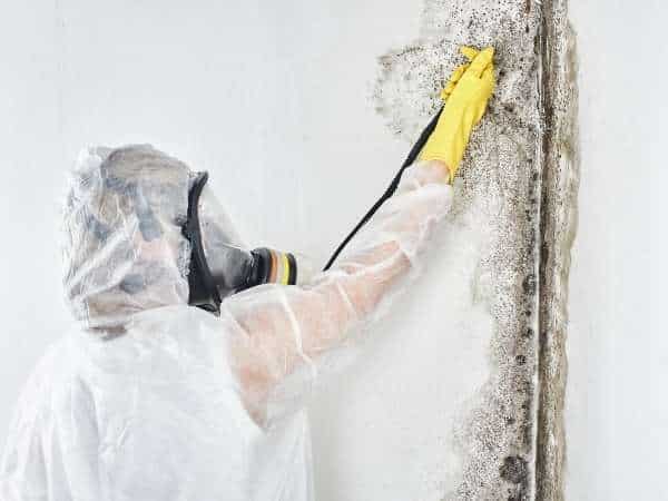 How to Remove Mold From Drywall