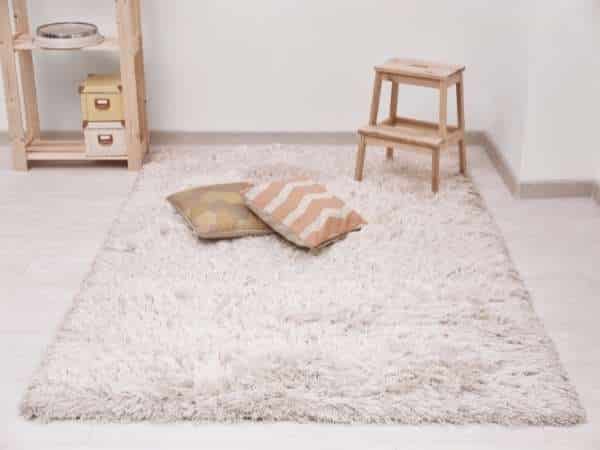 Rug Goes With The Grey Carpet