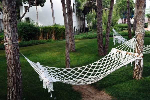 Hammocks