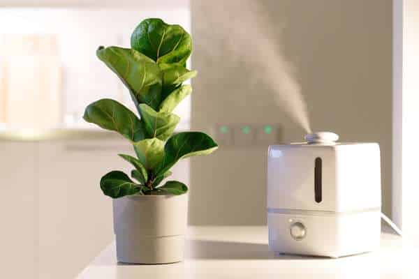 Humidifier