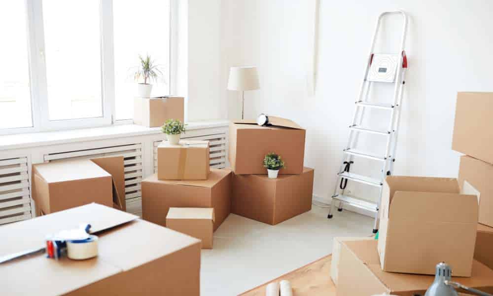 Move-In & Move-Out Cleaning