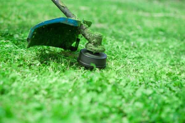 Benefits Of Cordless Grass Trimmers