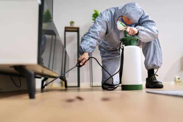 The Importance of Hiring a Professional Termite Exterminator