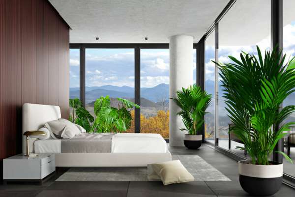 Plants And Greenery For Decorate The Master Bedroom