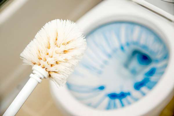 Bacterial Growth For Toilet Brushes