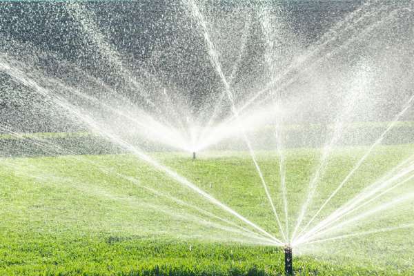 Factors Influencing Watering Frequency For Water Your Lawn