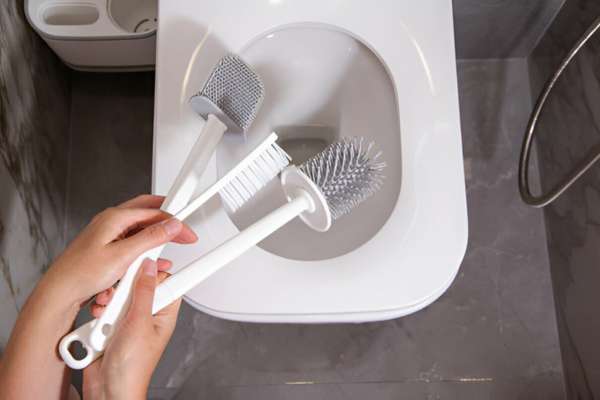 Preventive Measures For Toilet Brushes