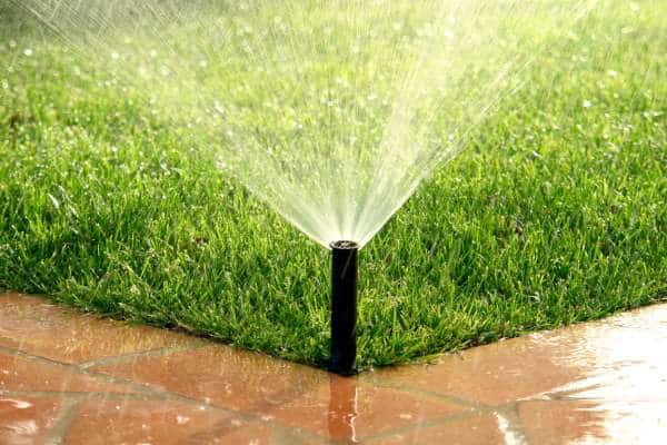 Tips for Efficient Lawn Watering