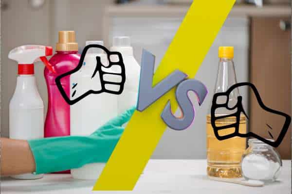 DIY vs. Professional Cleaning