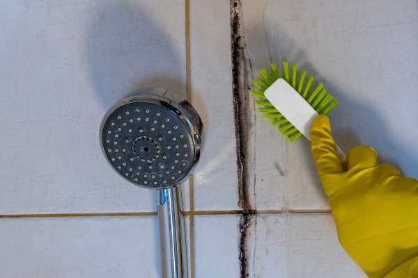 Preventing Mold and Mildew Add A Shower To A Tub