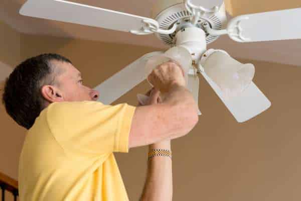 Light or No Light? Choosing the Right Ceiling Fan Style